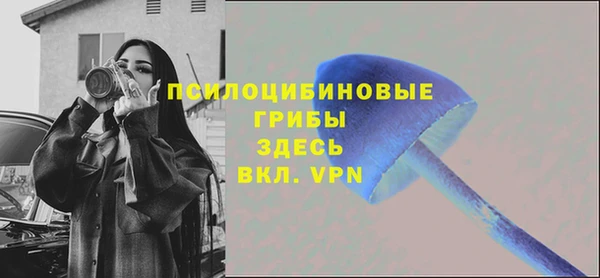 a pvp Абдулино