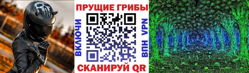 Галлюциногенные грибы Psilocybe  где купить   Кудымкар 